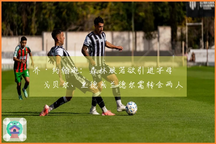 乔·约翰逊：森林狼若欲引进字母，戈贝尔、里德或兰德尔需转会两人