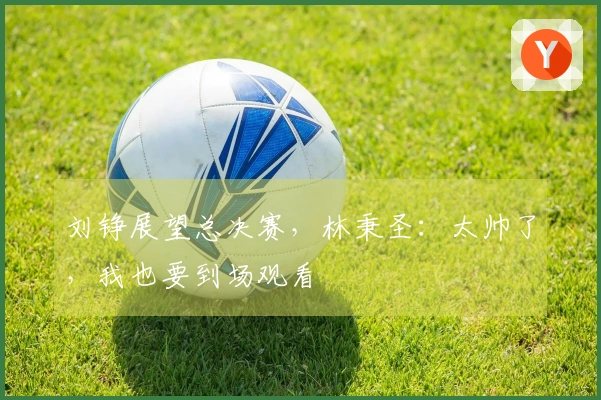 刘铮展望总决赛,林秉圣:太帅了,我也要到场观看